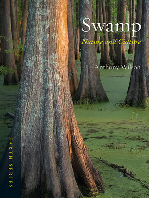 cover image of Swamp